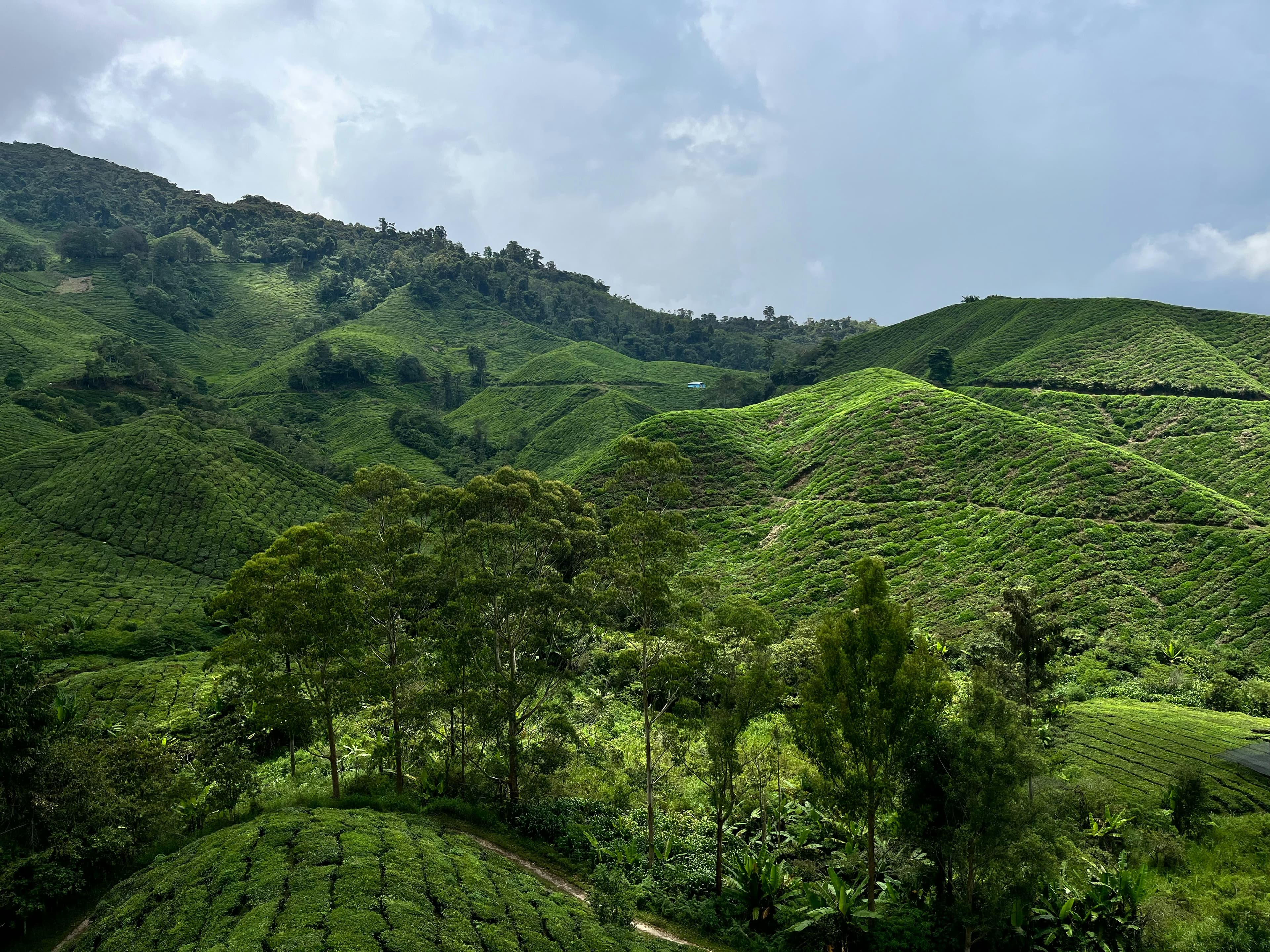 A scenic view representing our legacy